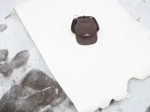 Hovedbilde Lemmel vintercaps Frosten